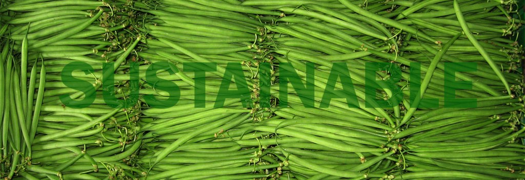 the word 'sustainable' over an image of green beans.